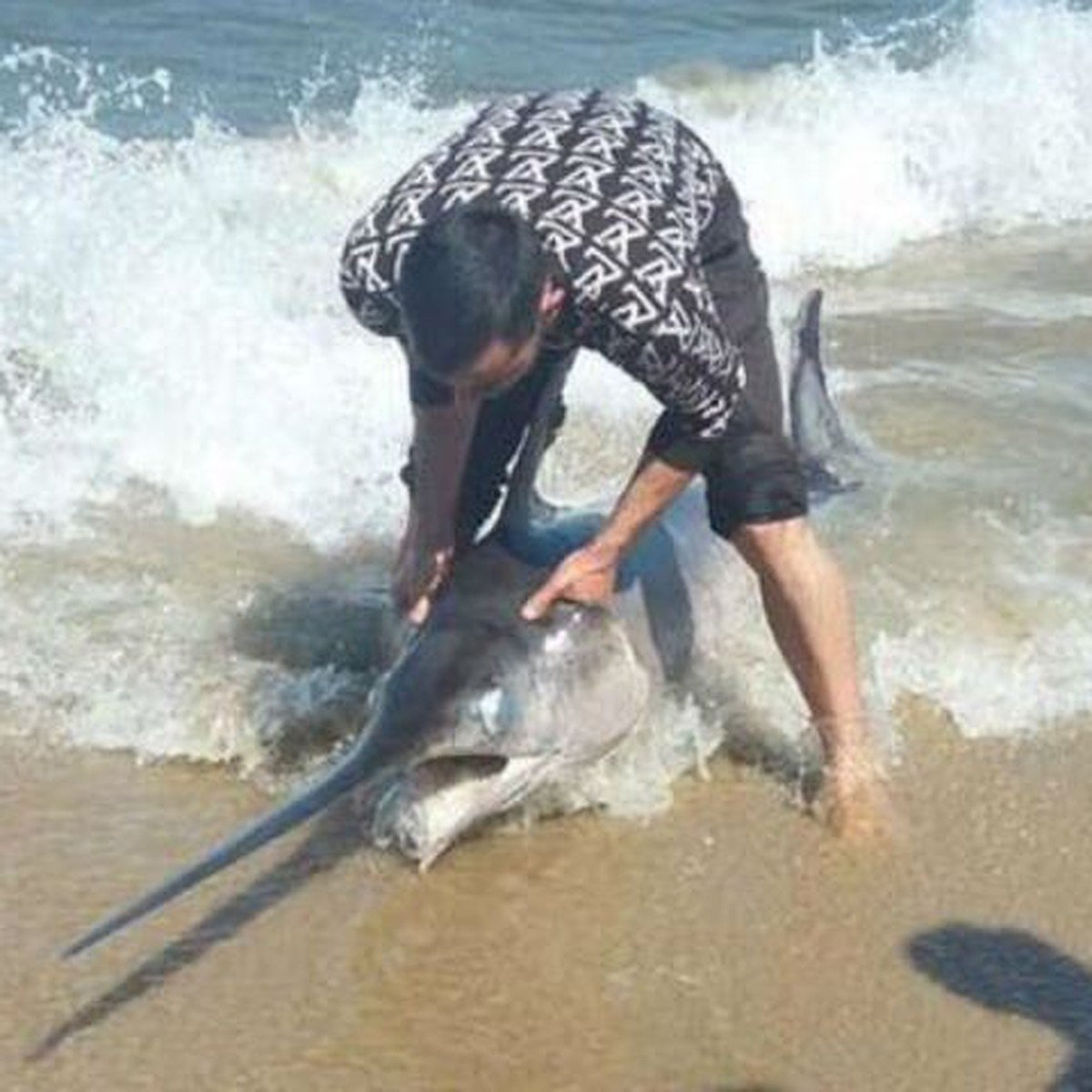 Обитатели Балтийского моря в Калининграде