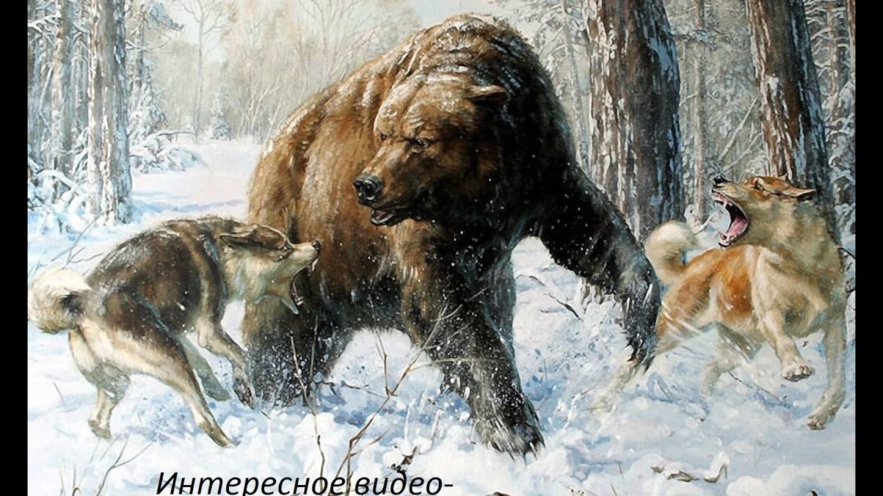 Охота на медведя 2. Картина охота.