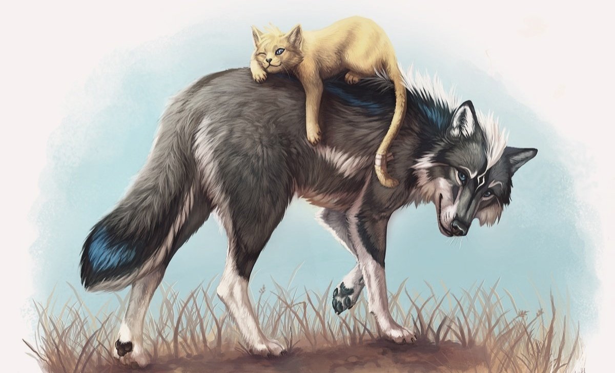 Белый волк на скале