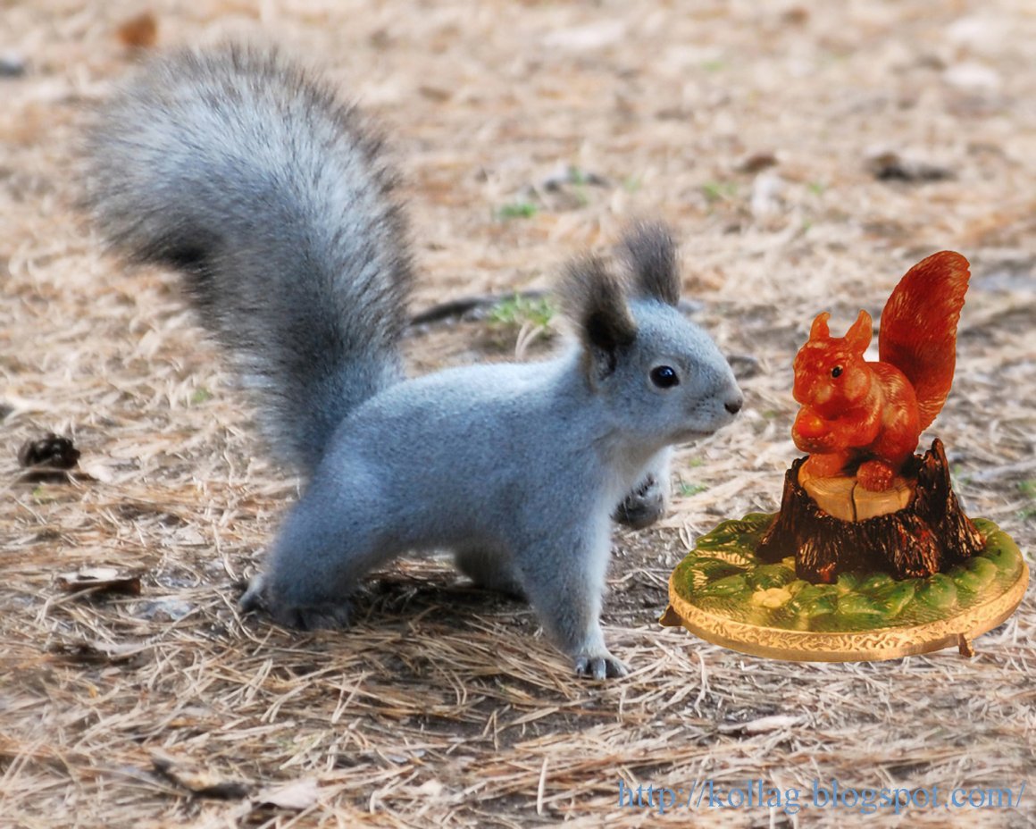 Голубые белки