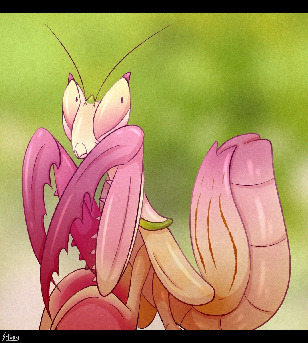 Розовый орхидейный богомол