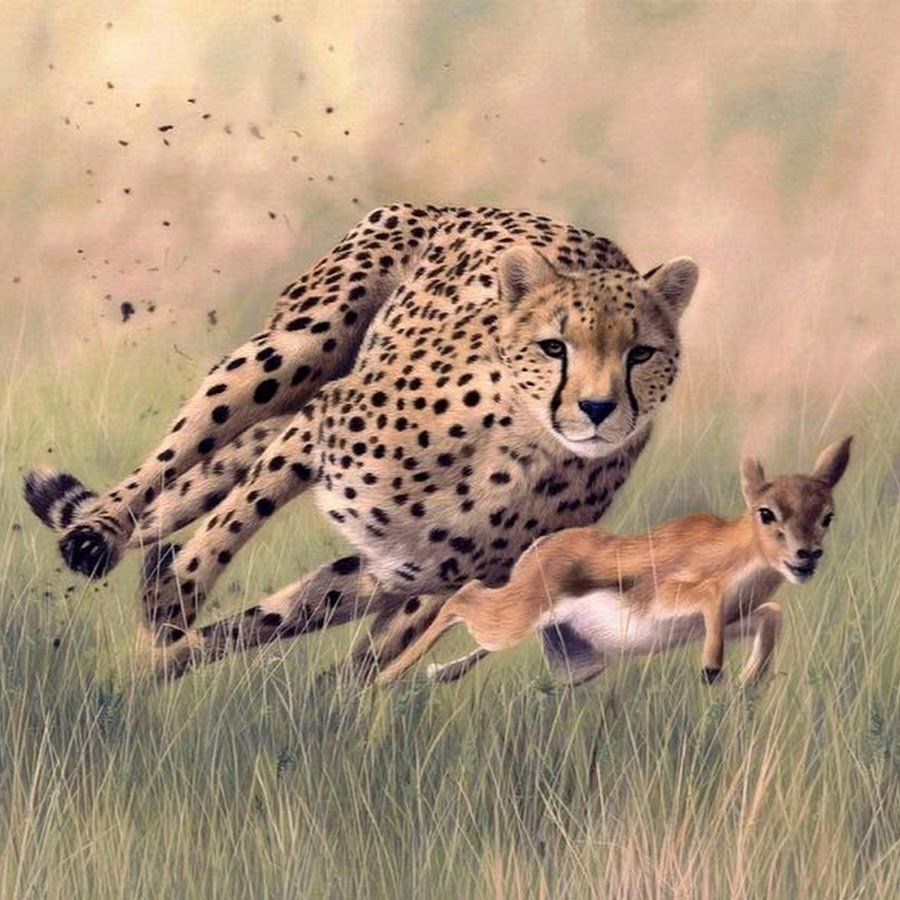 Тигр с добычей