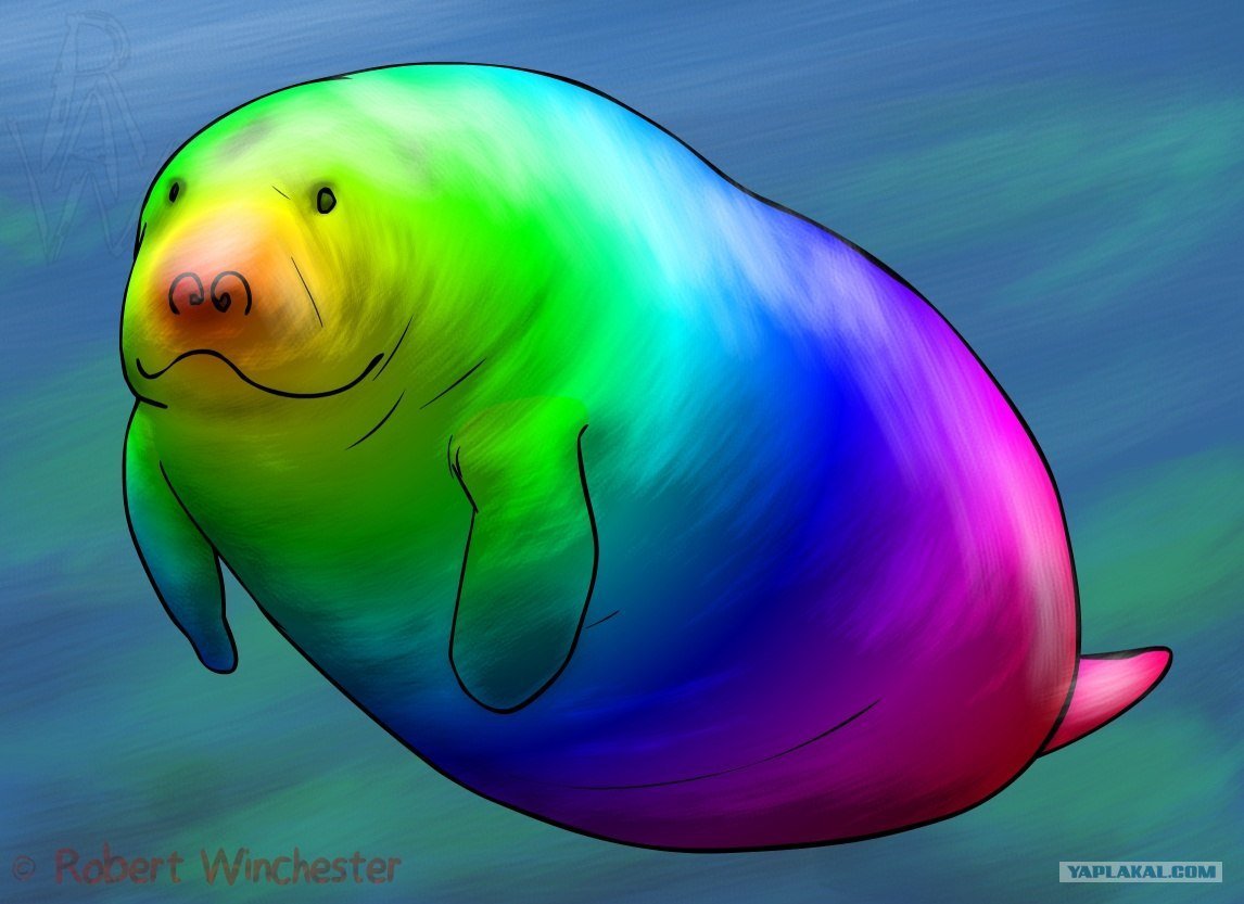 Радужная корова