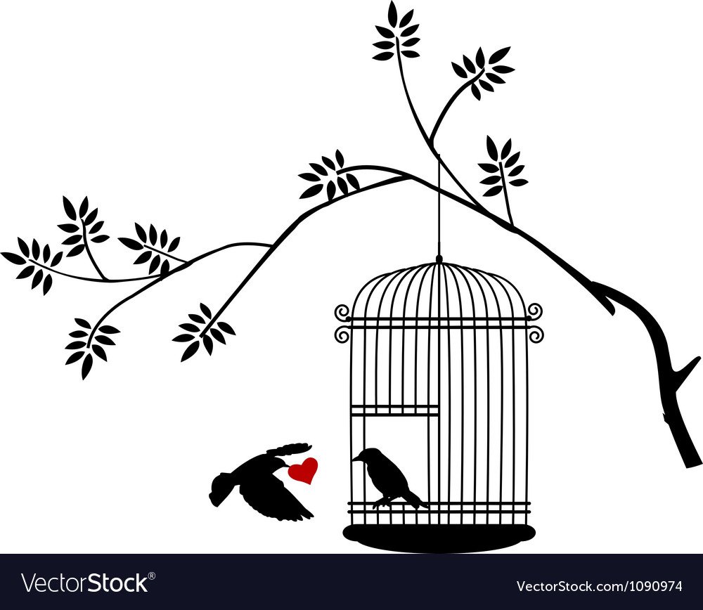 Птичка кенар в клетке