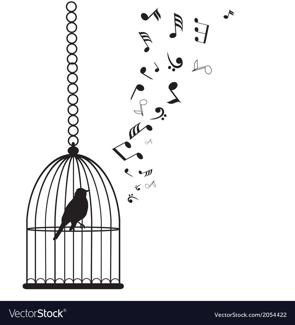 Птица вылетает из клетки