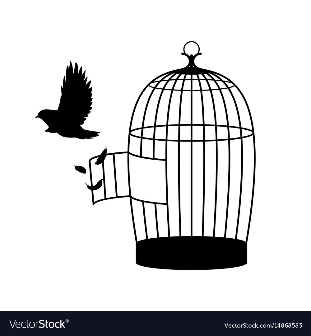 Попугай вылетает из клетки