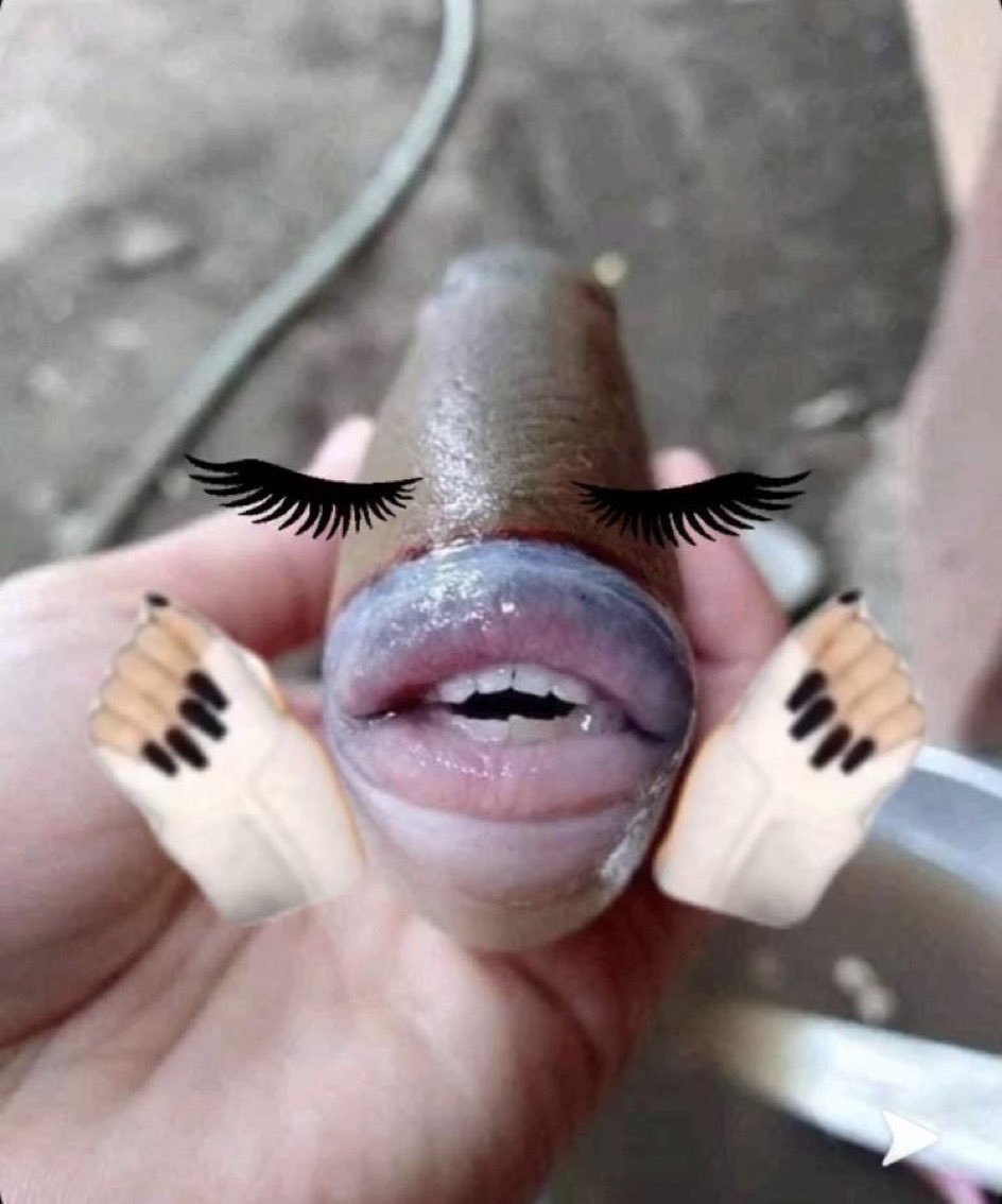 Прикольные рыбки