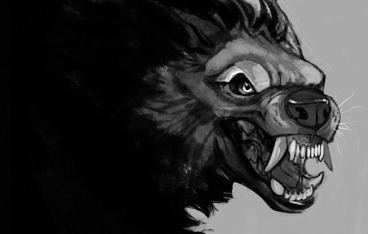 Волкособ оскал