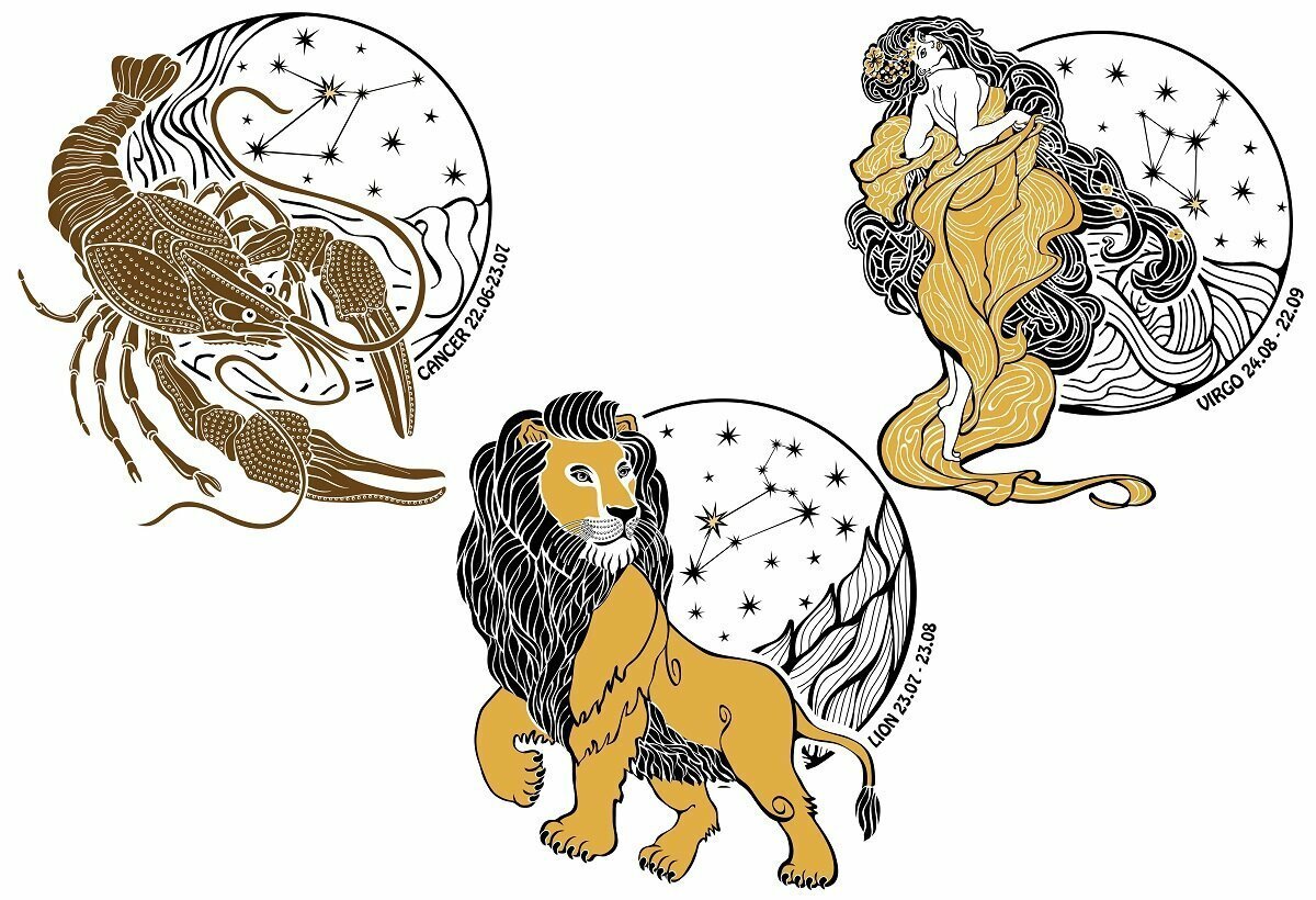 Черепаха колоссохелис