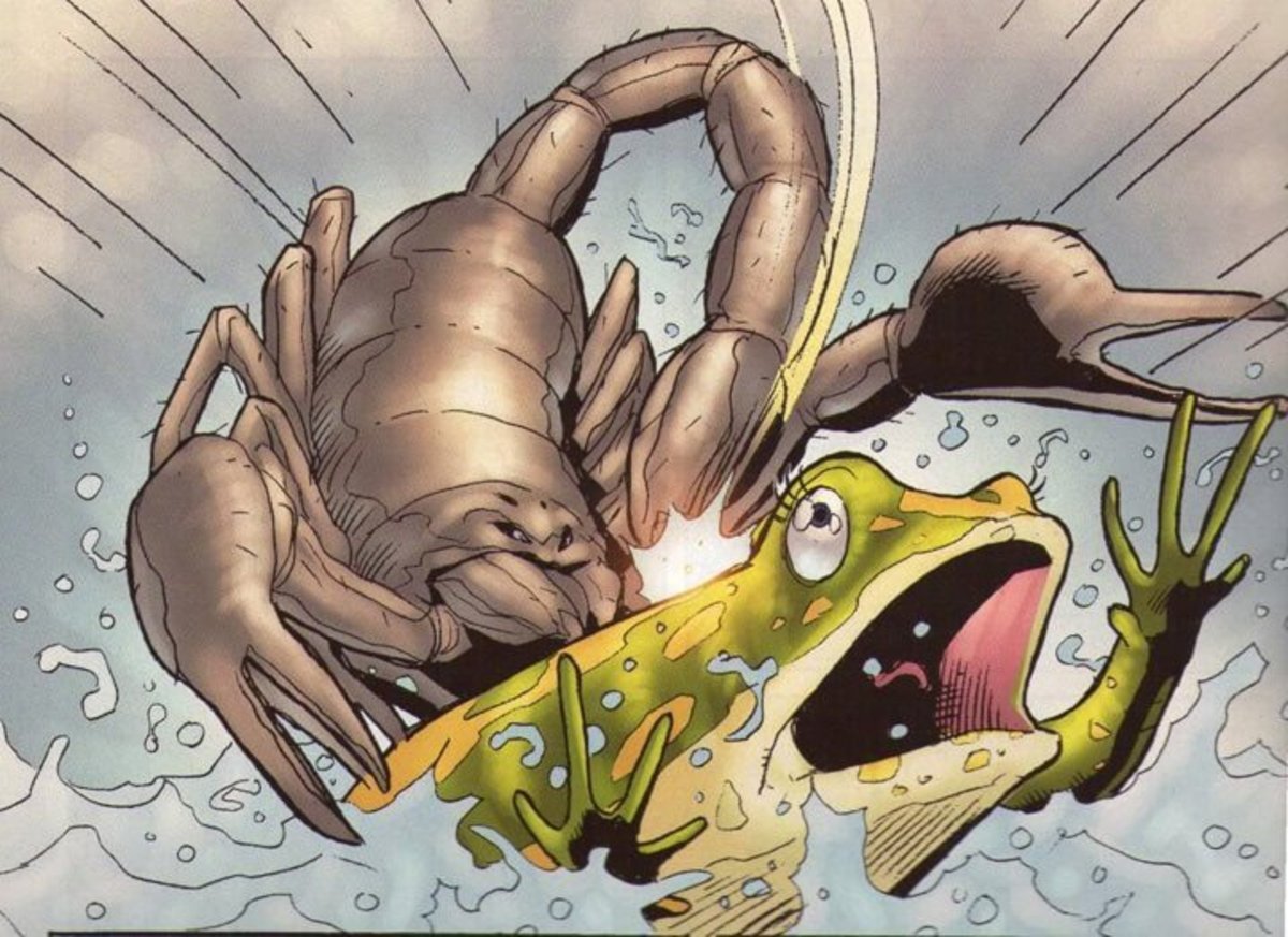 Черепаха слоны три слона