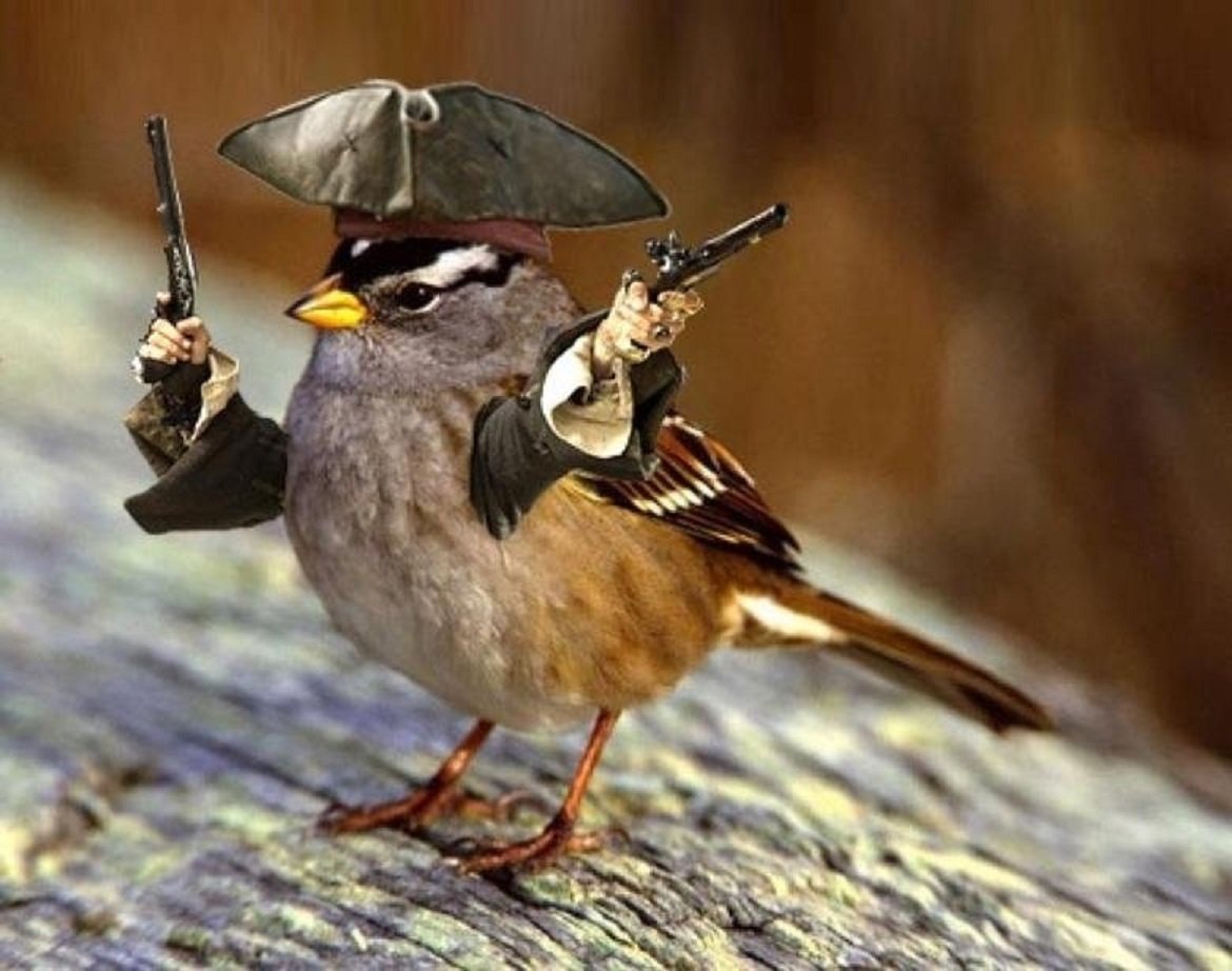 Птенцы поют