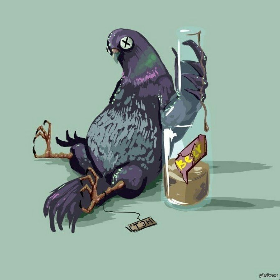 Приколы для поднятия настроения