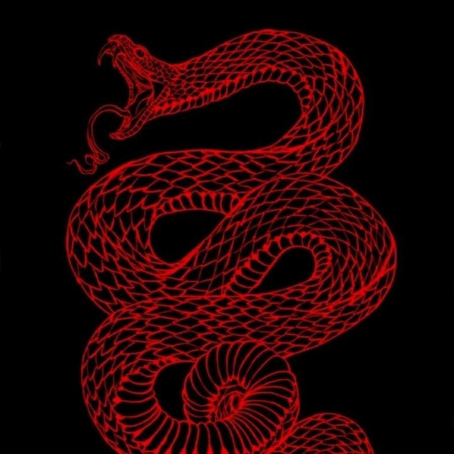 Синалойская молочная змея