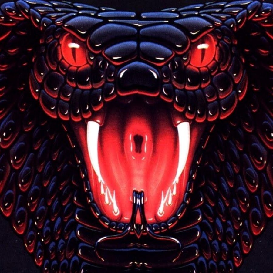 Змея с меланизмом