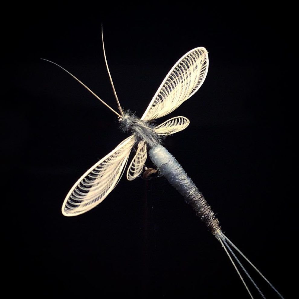 Мушки бабочки поденки