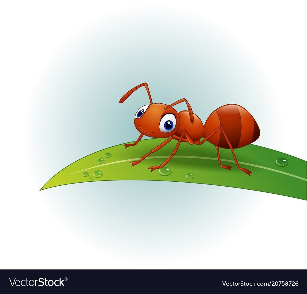 Муравьи ползут