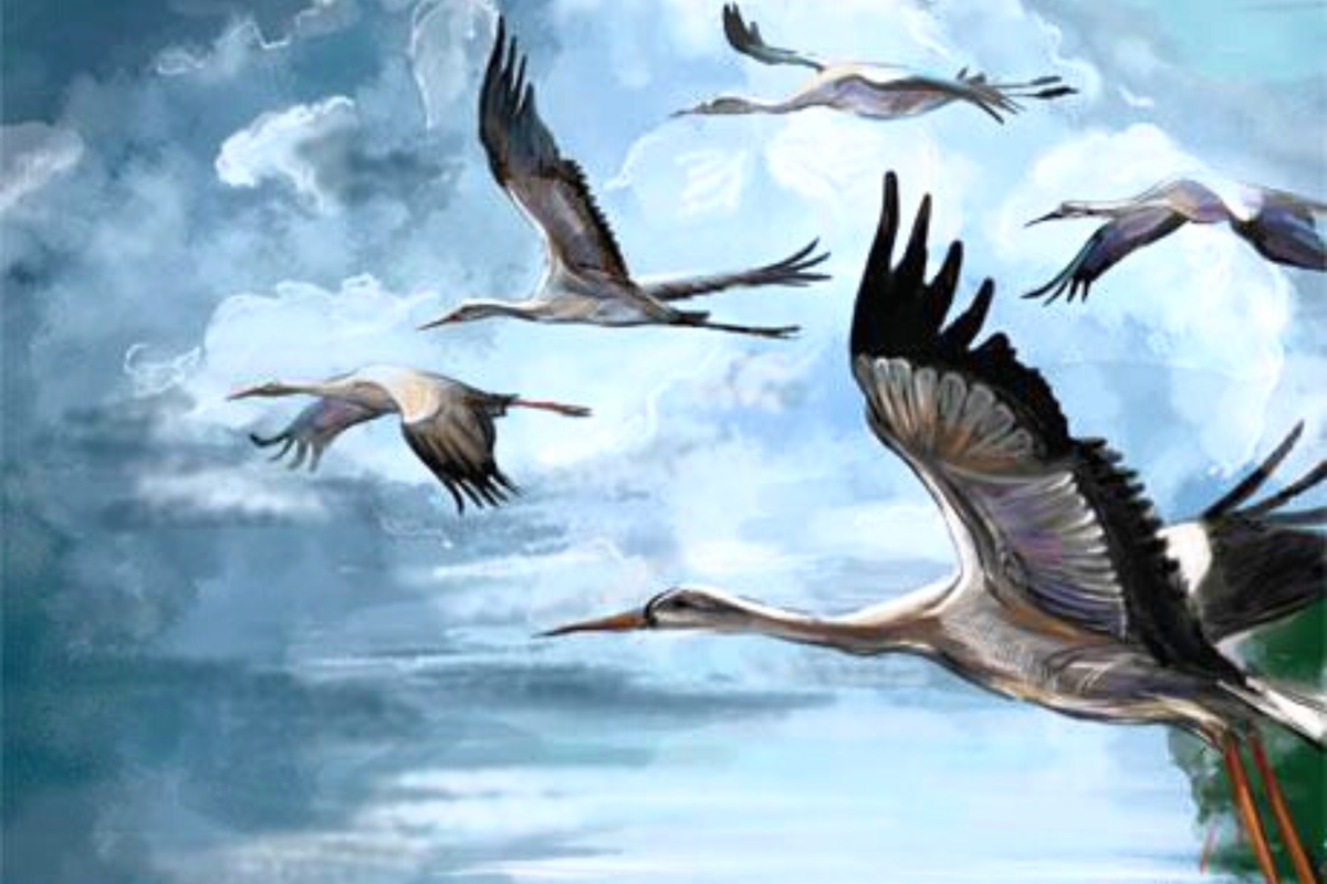 Журавли на аватар. Журавль в небе. Журавли живопись. Журавли в небе живопись. Картина перелетные птицы.
