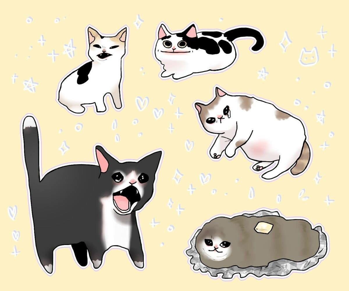 Эстетика кошек