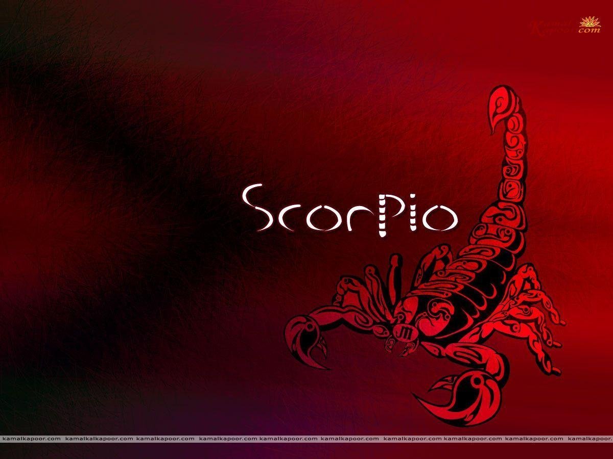 Жало скорпиона