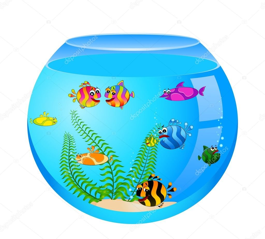 Рыбки в круглом аквариуме для детей