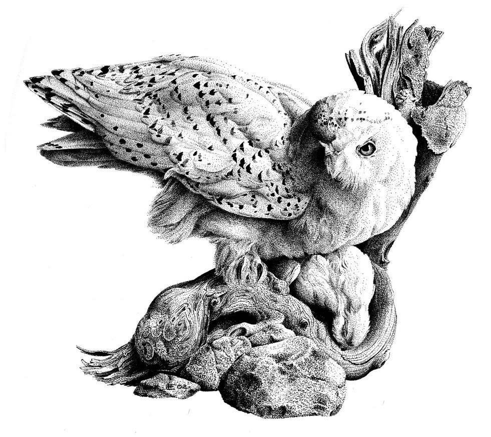 Графика рисунки