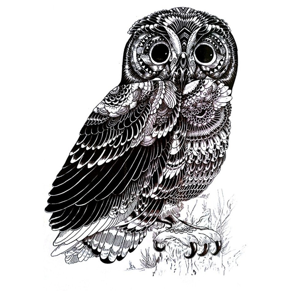 Графика рисунки