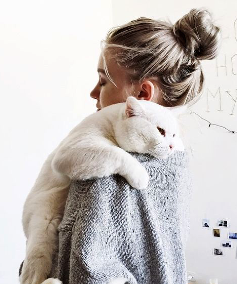 Черный и белый котик обнимаются