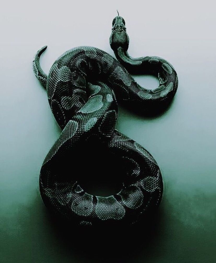 Плавающие змеи