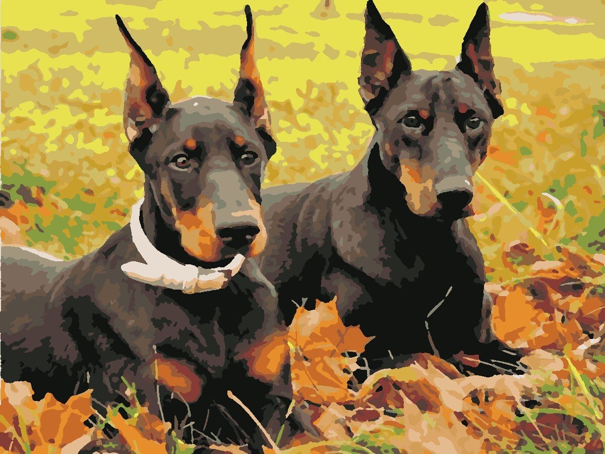 Щенки породы Доберман