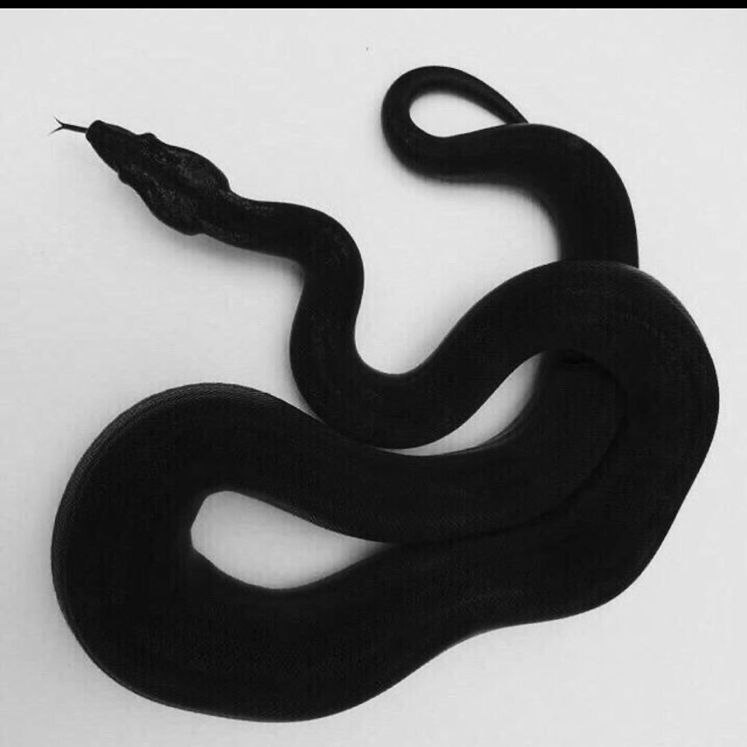 Чёрная мамба змея