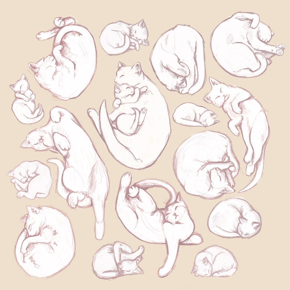 Кот лежит на боку