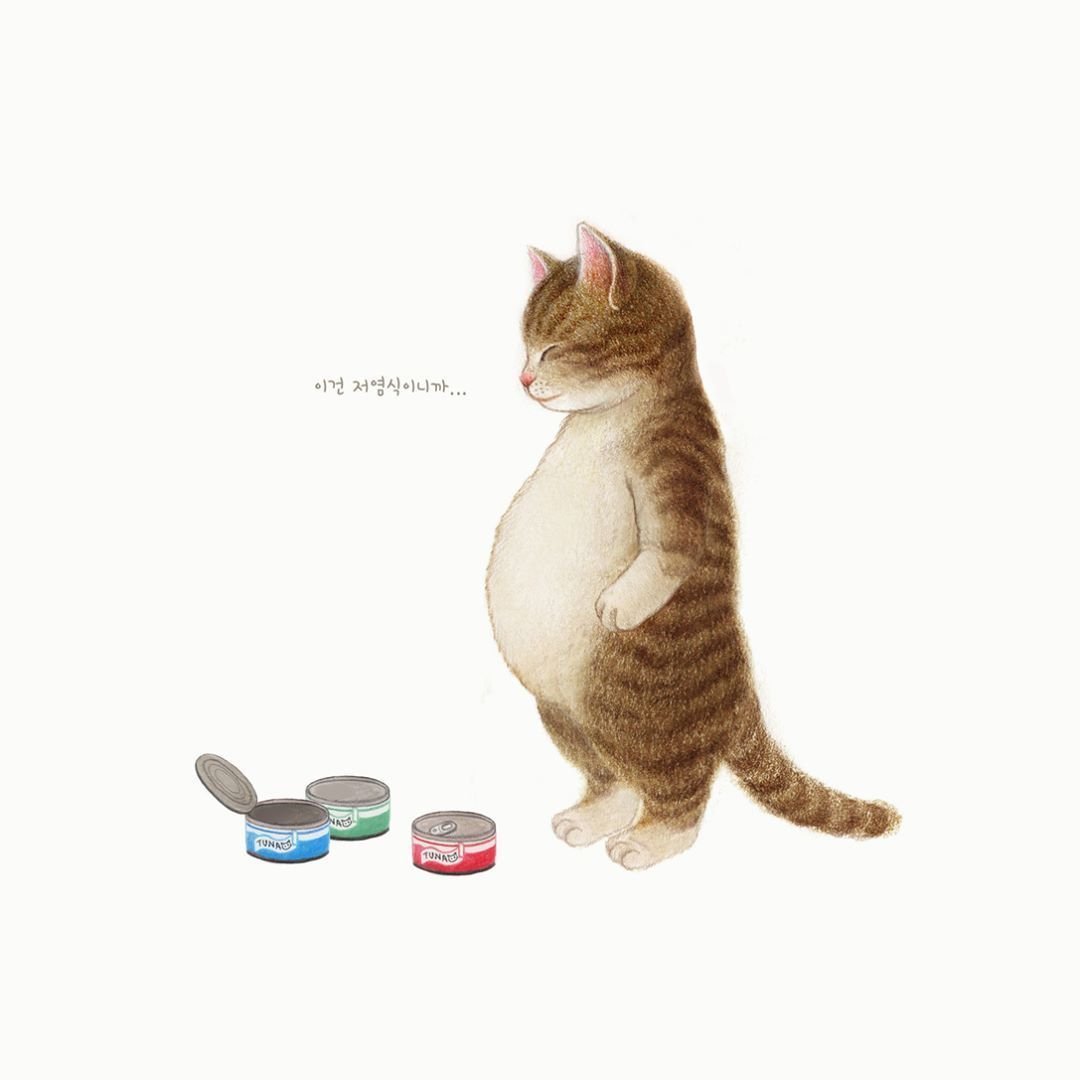 Корейский художник котики