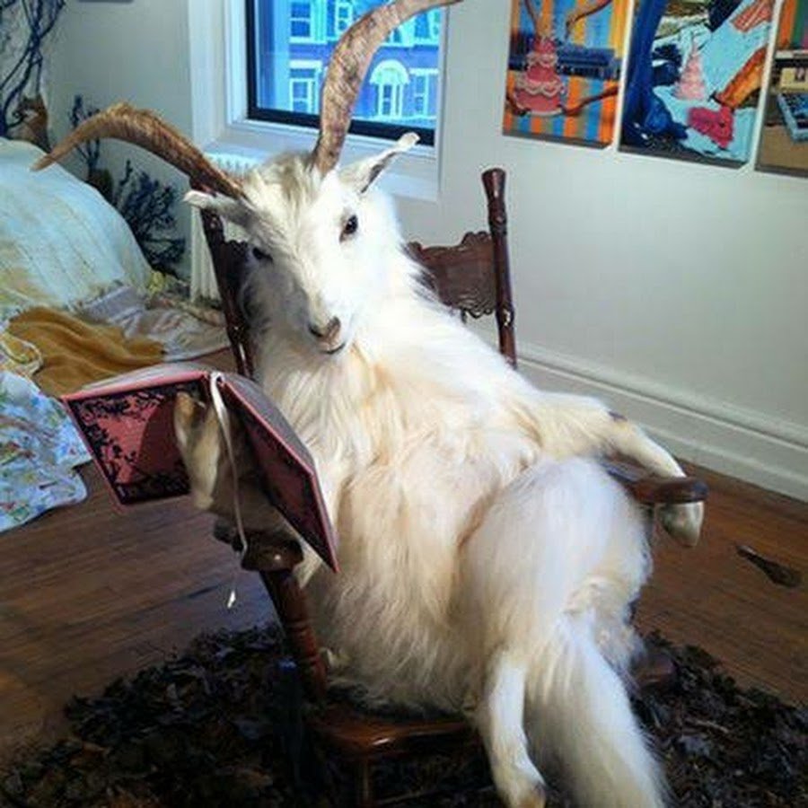 Мархур Винторогий козел