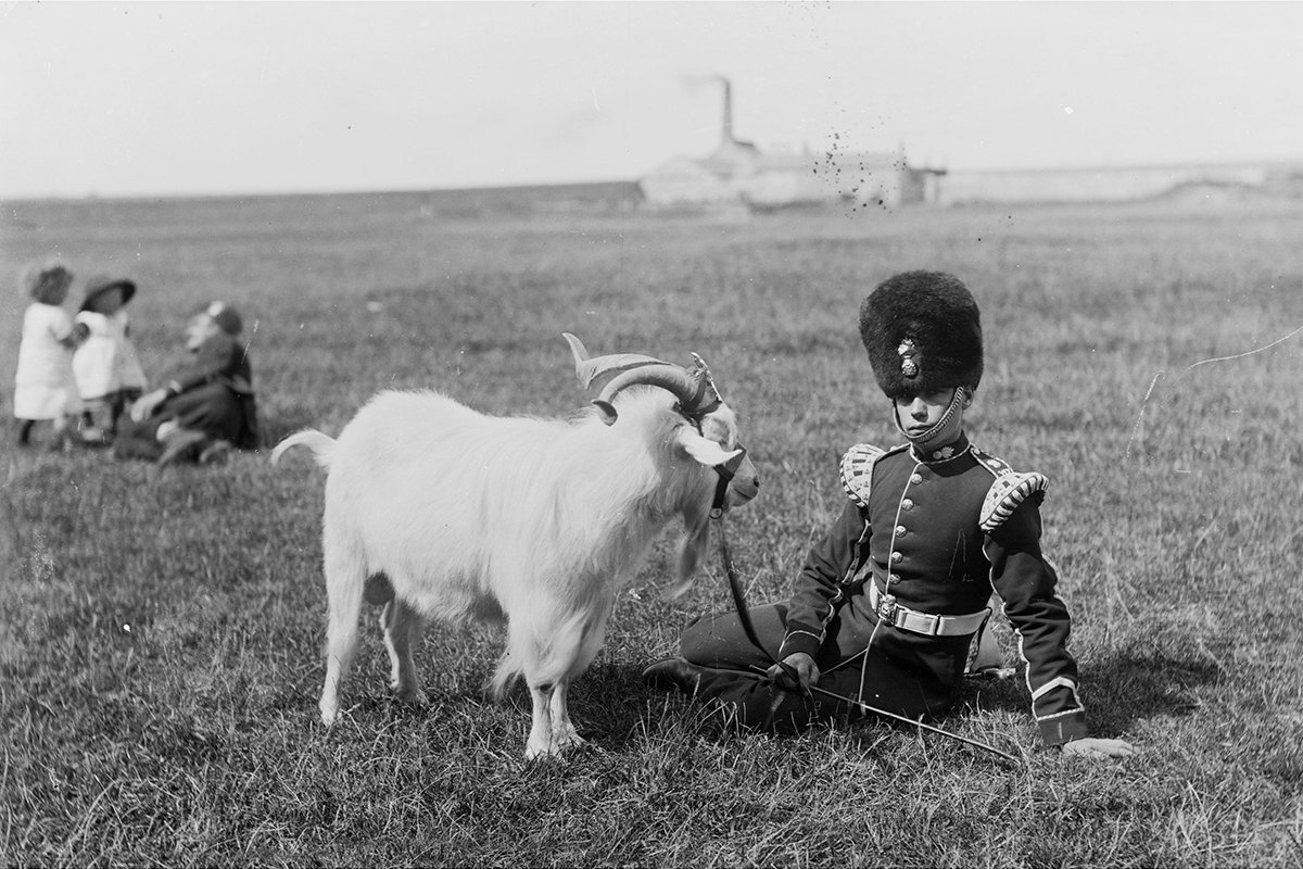 Девушка целует козла