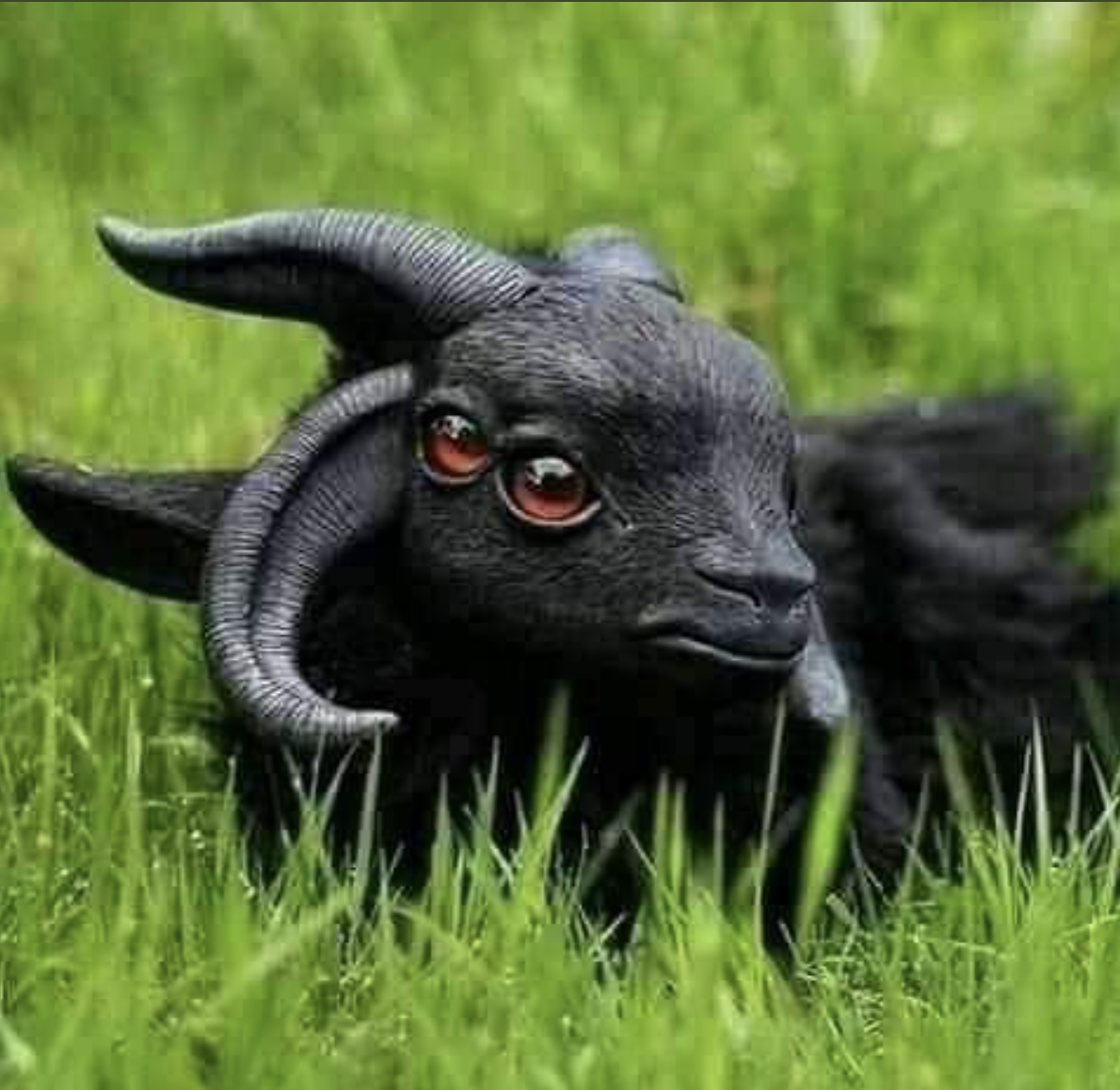 Козы смешно