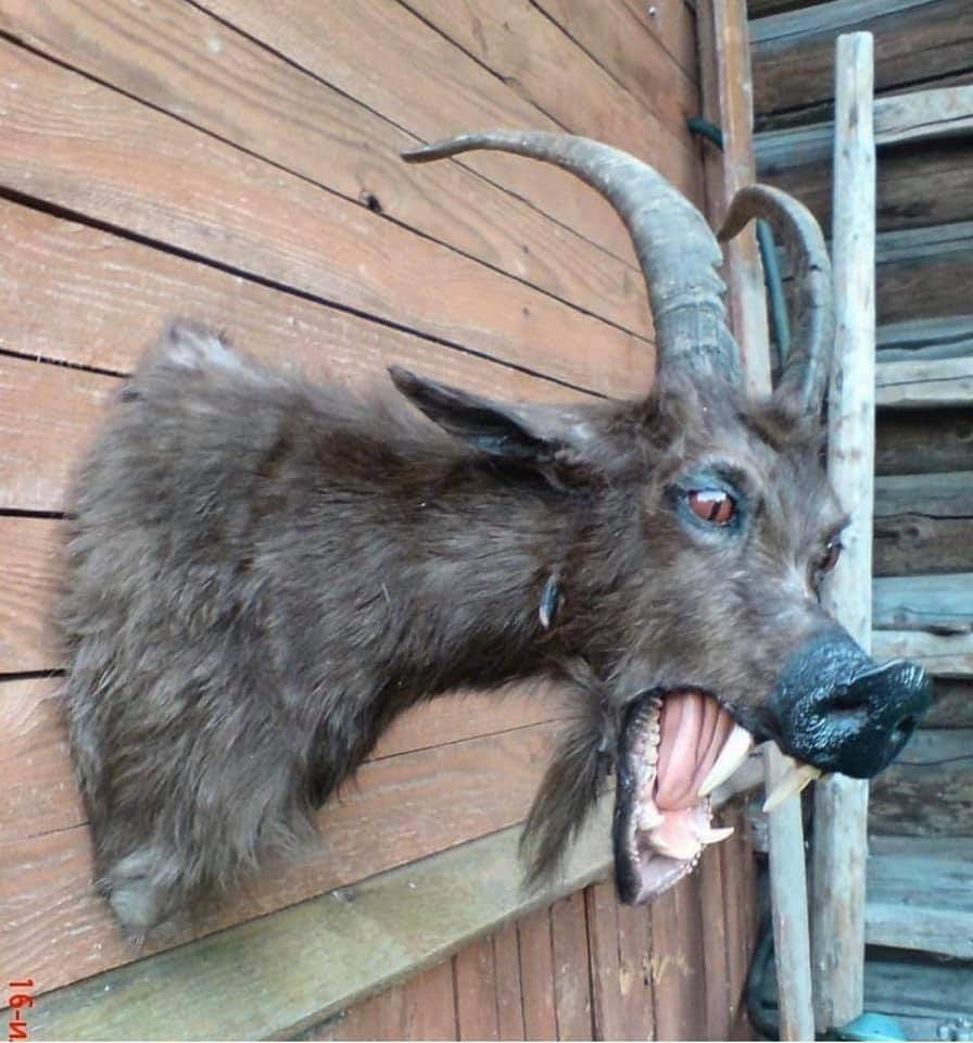 Военная коза