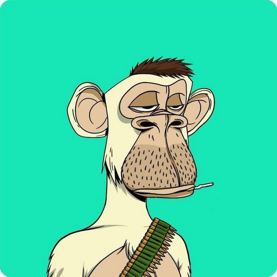 Капуцин с человеческим лицом