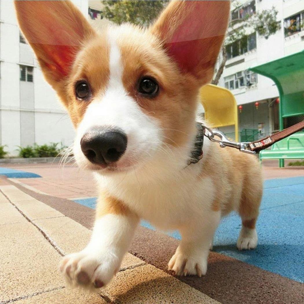 Фото Джерена