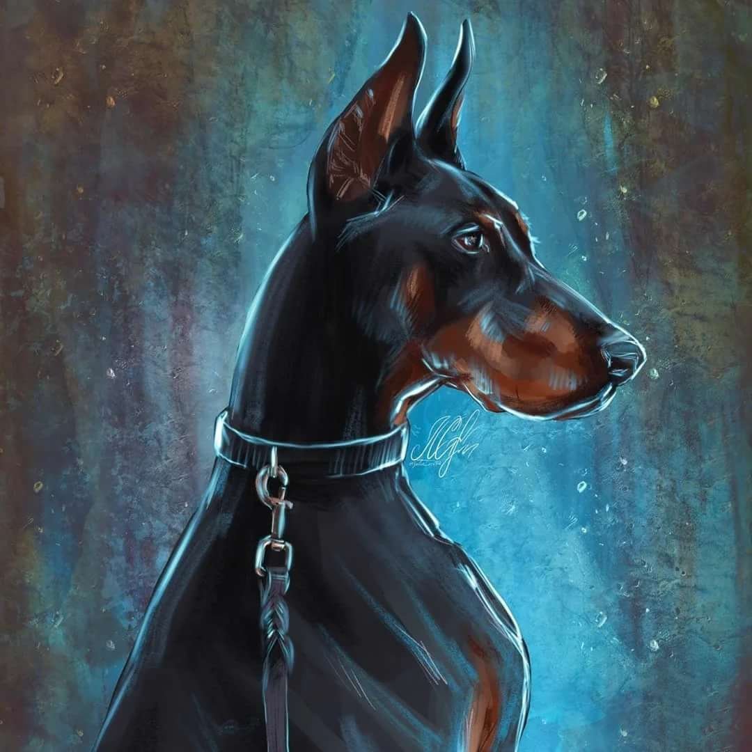 Королевский дог и Доберман