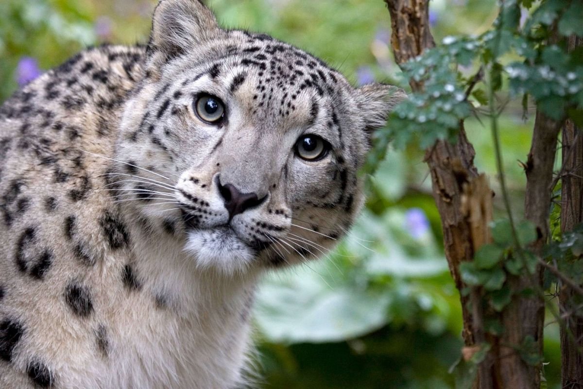 Биоразнообразие заповедника