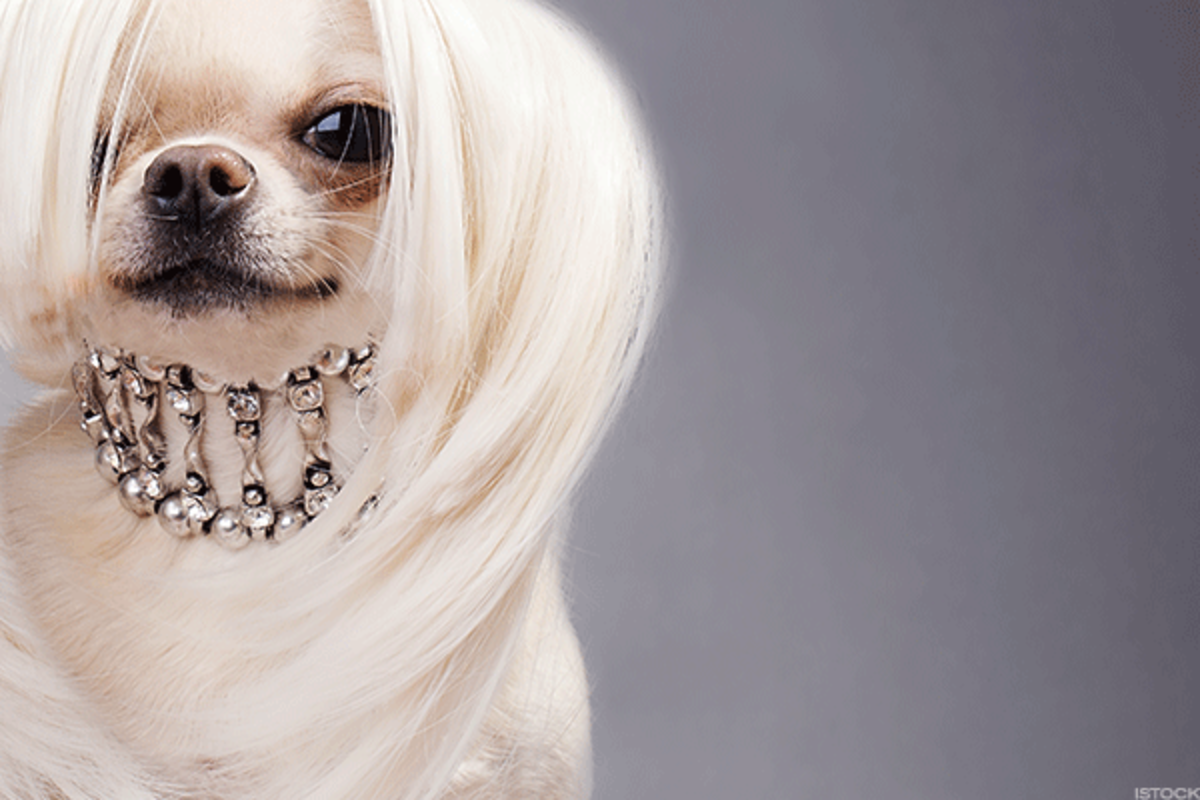 Венгерская овчарка пули