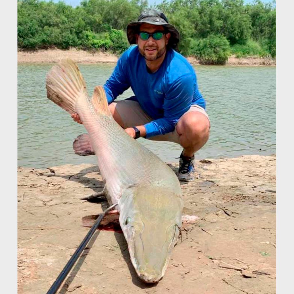 Аллигаторова щука