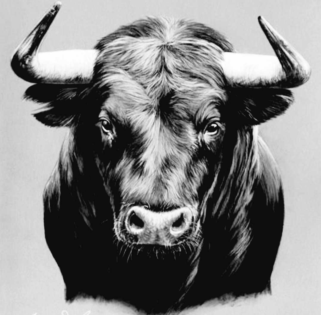 Бык 2021ьголова