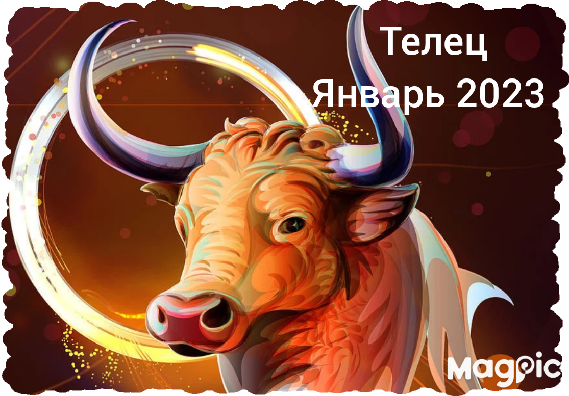 Телец яркий