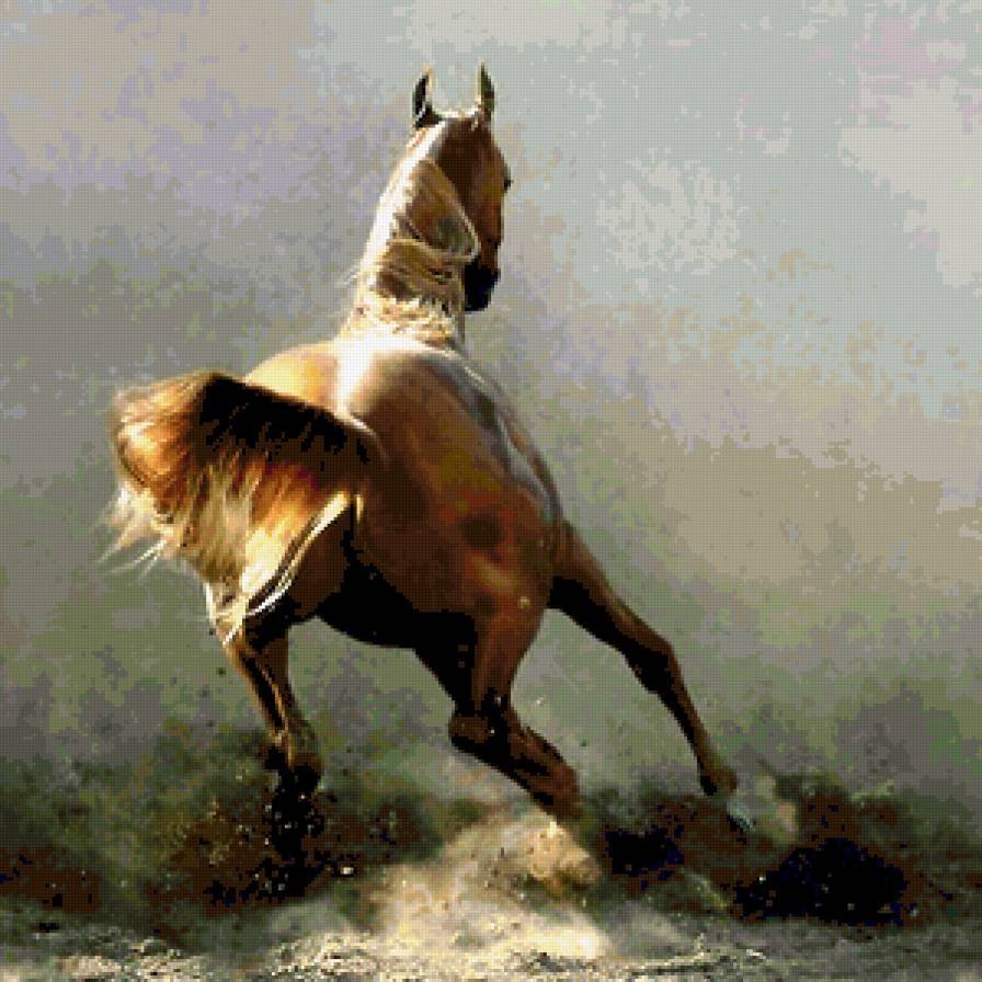 Лошадь скачет