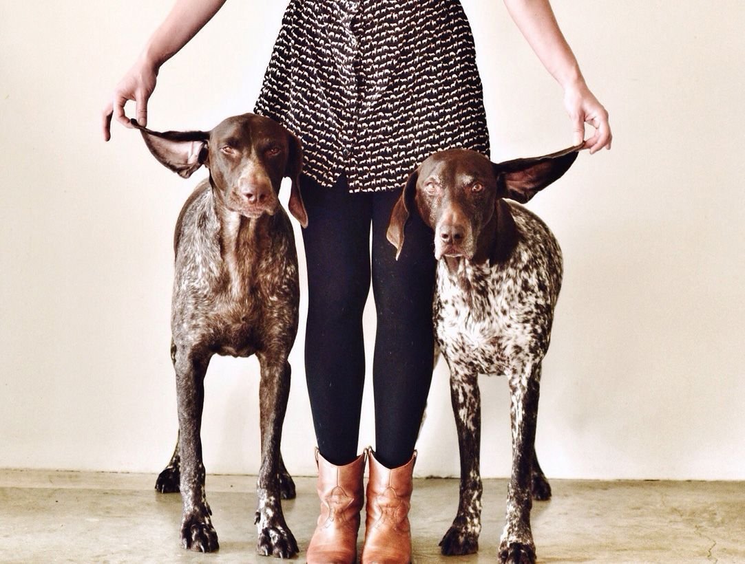 Курцхаар на рабочий стол