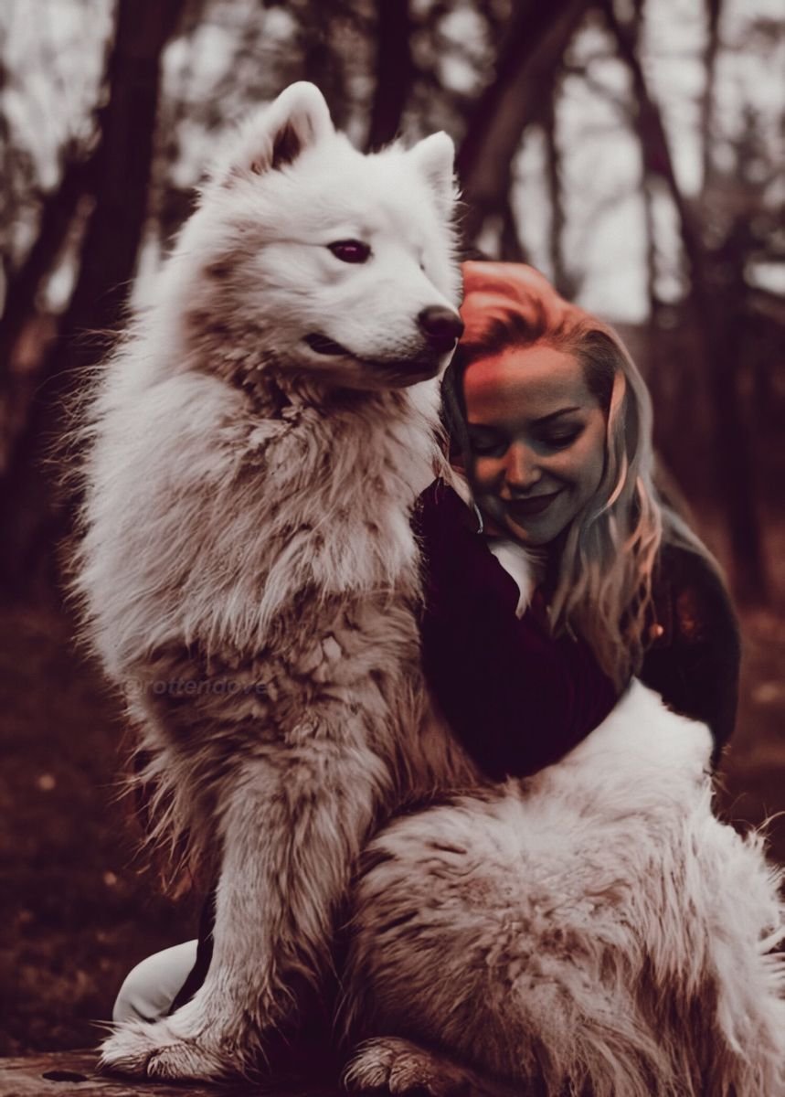 Маламут хаски самоед