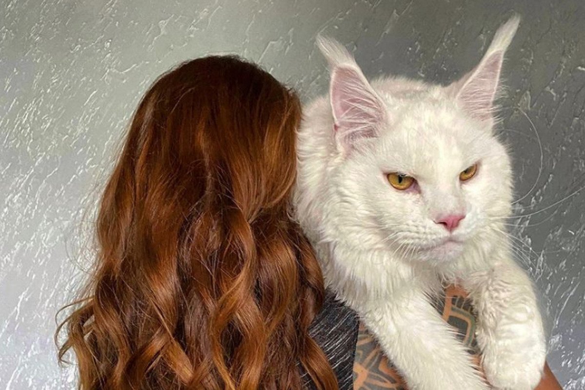 Мейн кун кефир