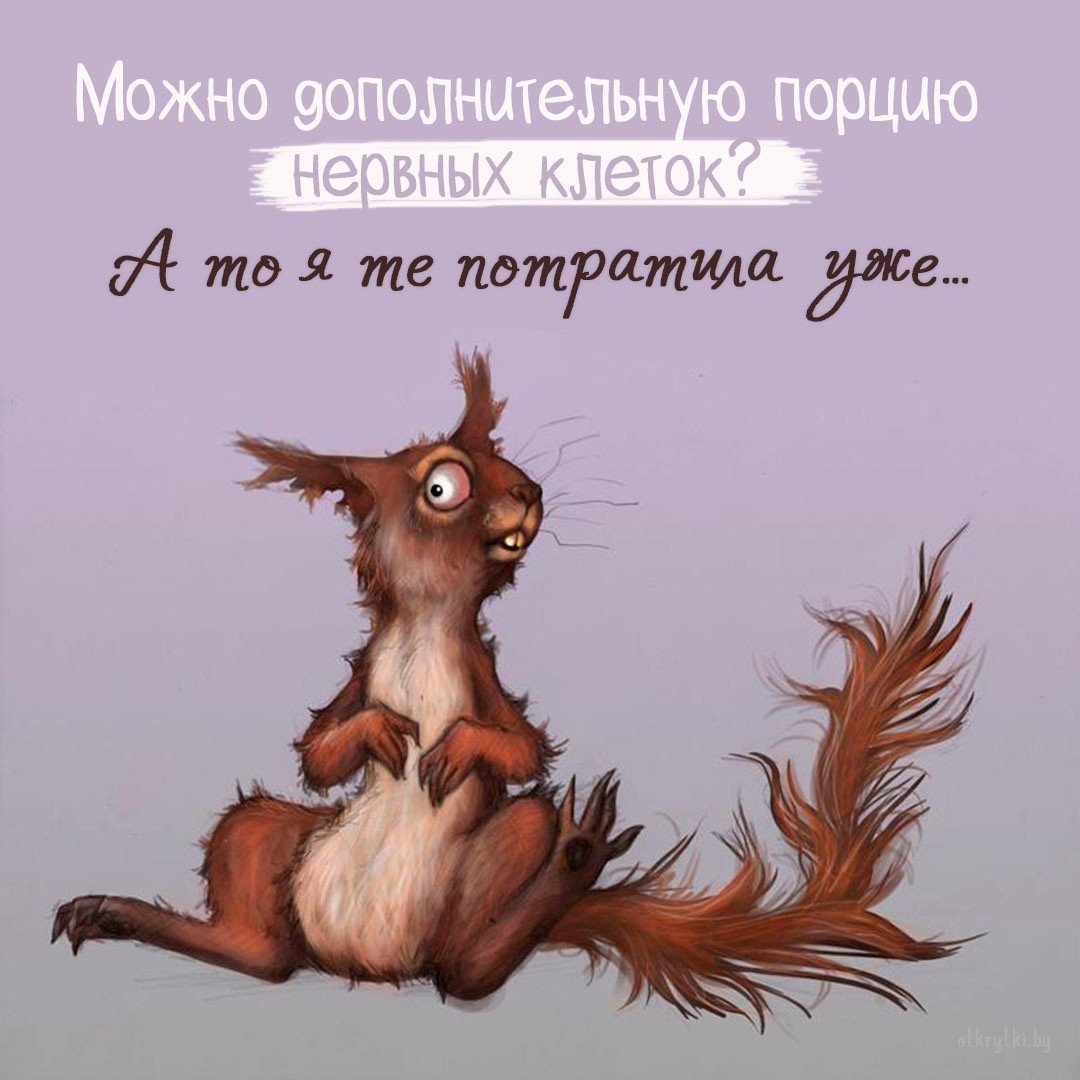 Бешеная белка