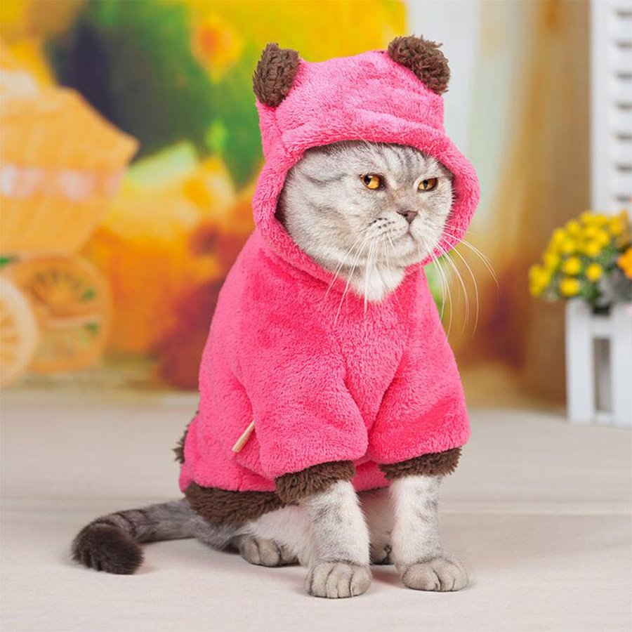 Одежда для котов